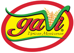 logo.gavi_